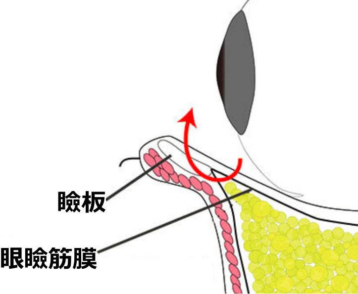 https://p1-1f54eb9e.imageflux.jp/uploads/image/file/2681/58a81098-80fc-4843-8f96-417bcf1b98b9.jpg