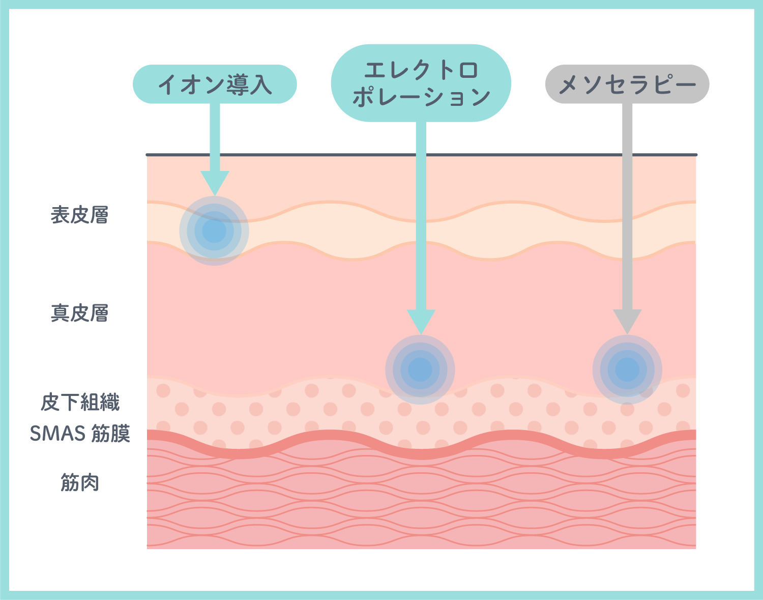 https://p1-1f54eb9e.imageflux.jp/uploads/image/file/3051/f2d11634-0747-48ab-8776-616cd30aedbb.jpg