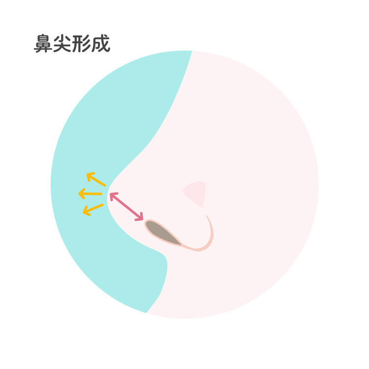 https://p1-1f54eb9e.imageflux.jp/uploads/image/file/3393/1a2213f0-e7c8-41fc-9fa6-7adb9a683f3b.jpg