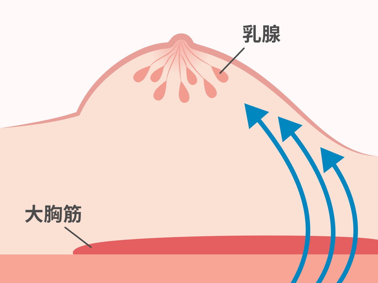 https://p1-1f54eb9e.imageflux.jp/uploads/image/file/5767/26ea6d1c-a079-419c-b237-67e043d4247f.jpg