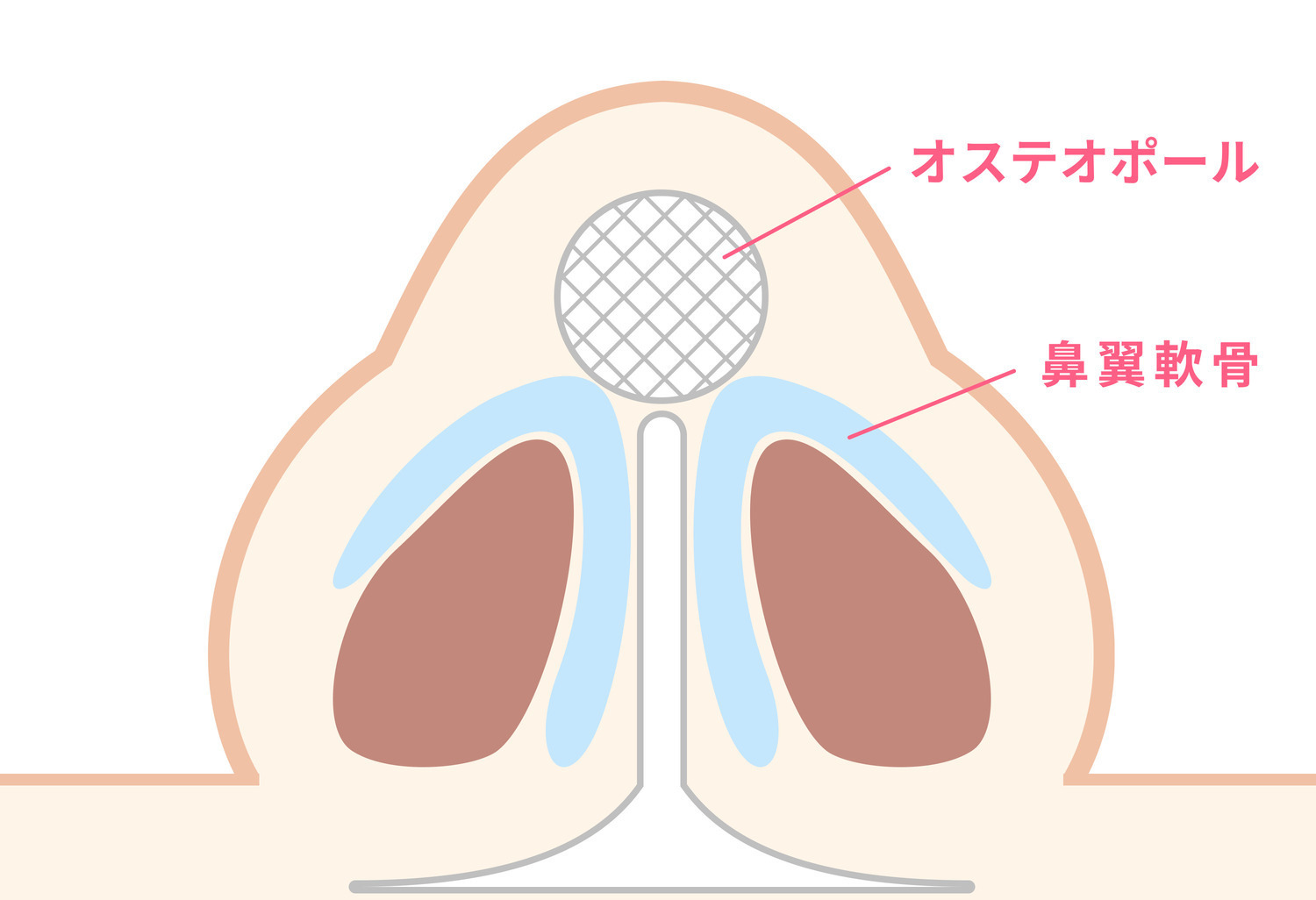 https://p1-1f54eb9e.imageflux.jp/uploads/image/file/6060/05f2826d-d2b8-4f28-aca9-99b99f5bfcdd.jpg