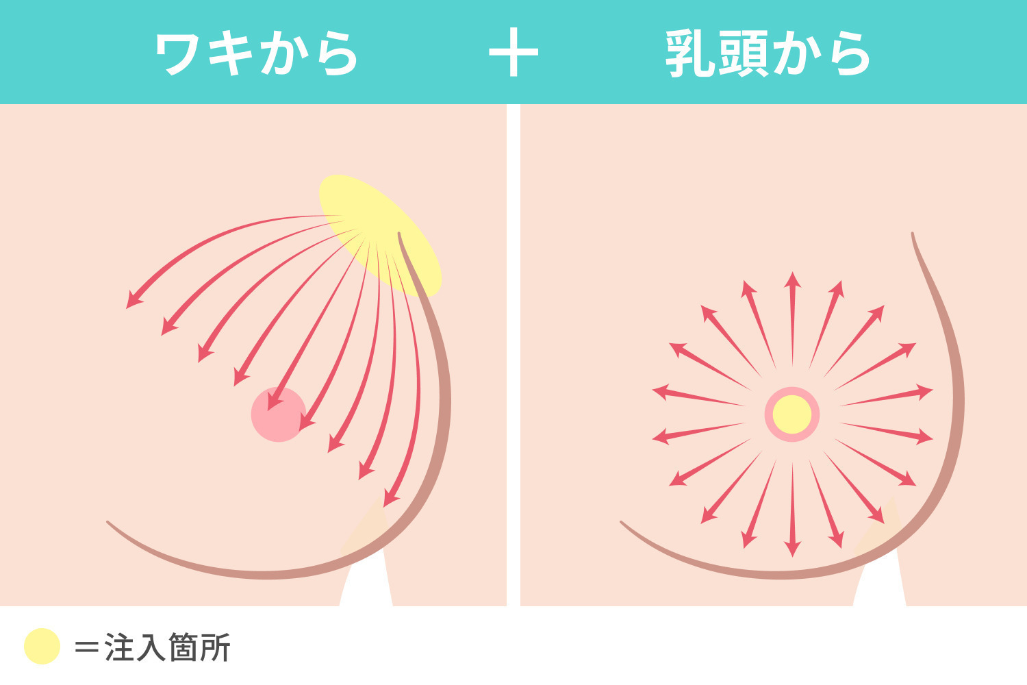 https://p1-1f54eb9e.imageflux.jp/uploads/image/file/7239/798bc3e1-a65f-4432-8284-e7980ad0ef17.jpg