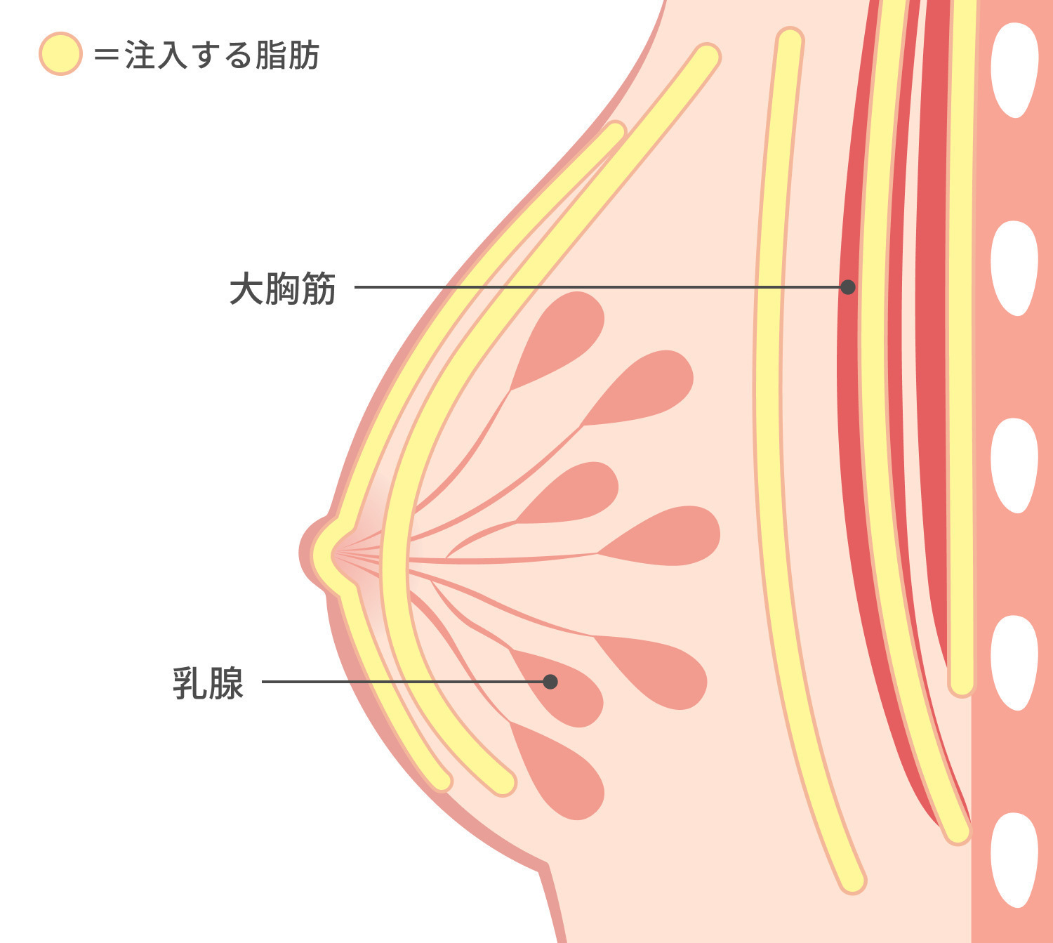 https://p1-1f54eb9e.imageflux.jp/uploads/image/file/7316/d7d4daf4-6edb-455e-9e46-3db397846041.jpg