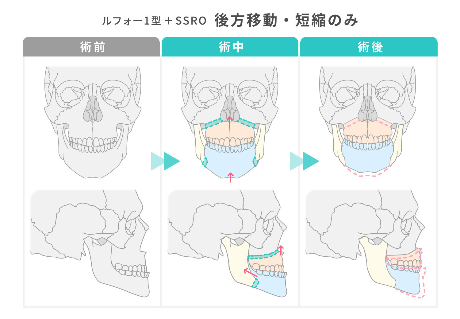 https://p1-1f54eb9e.imageflux.jp/uploads/image/file/7331/f8643cbf-1026-43ba-888d-7d645a1848de.jpg