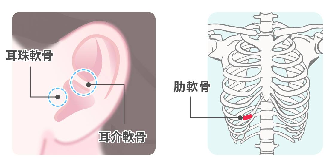 https://p1-1f54eb9e.imageflux.jp/uploads/image/file/7368/5d095cac-c217-40b8-a2b9-cedb2f23c70a.jpg