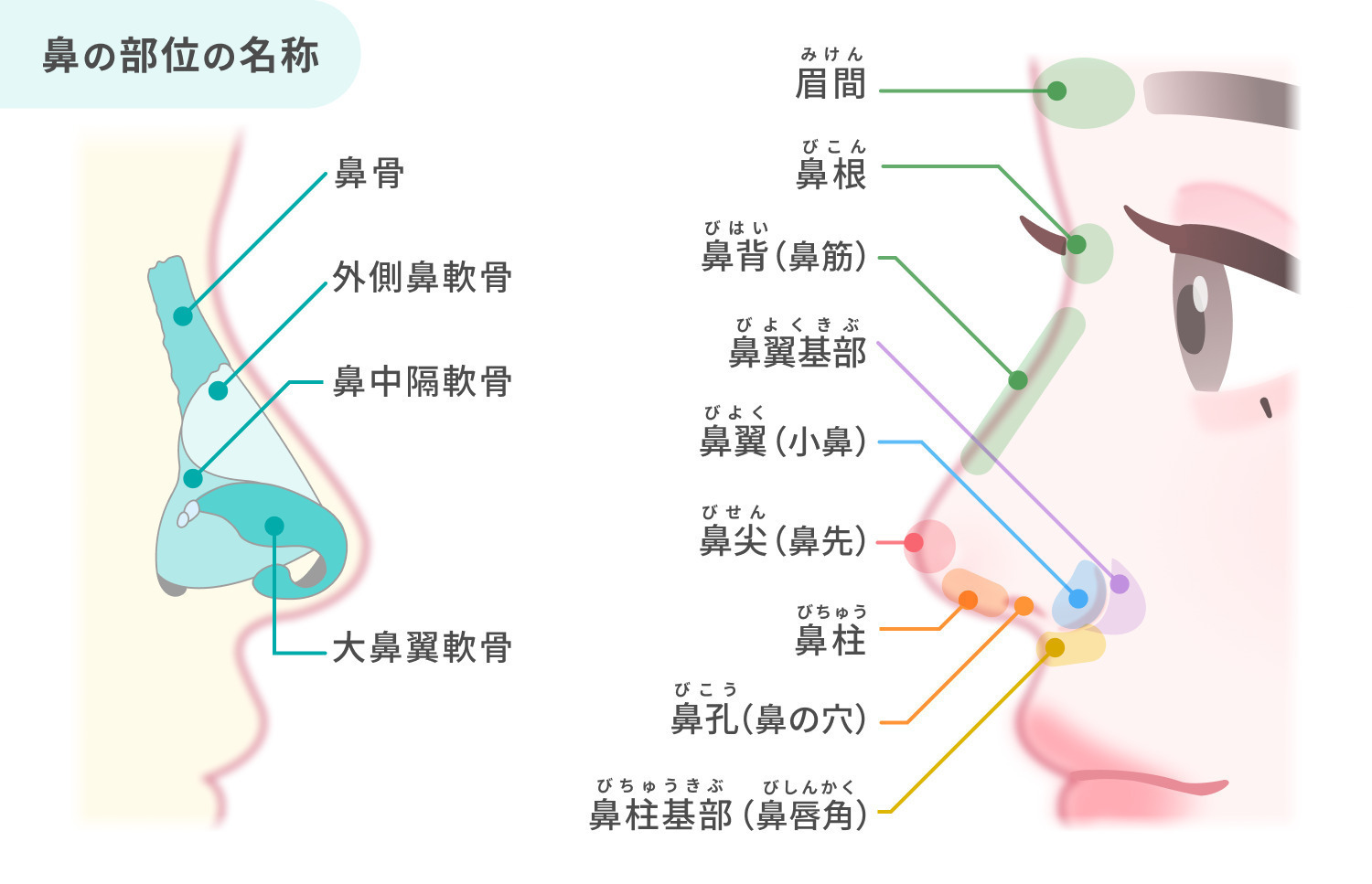 https://p1-1f54eb9e.imageflux.jp/uploads/image/file/7459/7e887404-5713-4329-a331-d5dfa07a3742.jpg