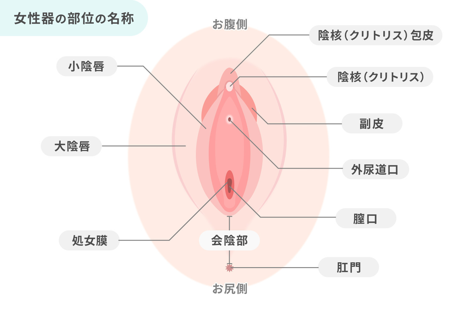https://p1-1f54eb9e.imageflux.jp/uploads/image/file/7475/6acf5339-3d6c-4b18-806b-432ed2bed586.jpg