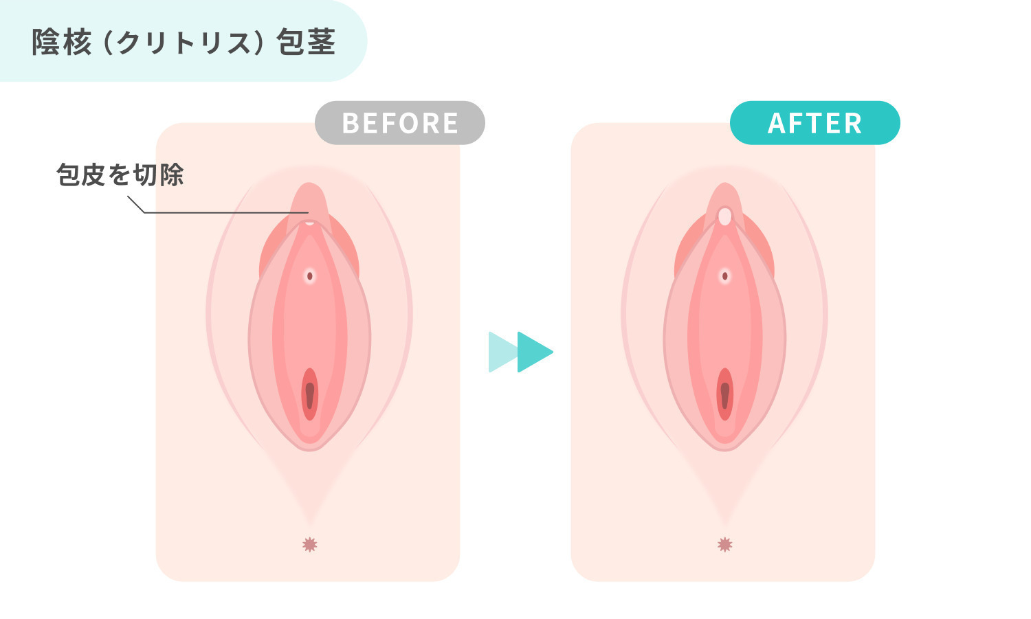 https://p1-1f54eb9e.imageflux.jp/uploads/image/file/7606/c26ba54e-8b2f-460b-9cb6-f7924cd6bc16.jpg