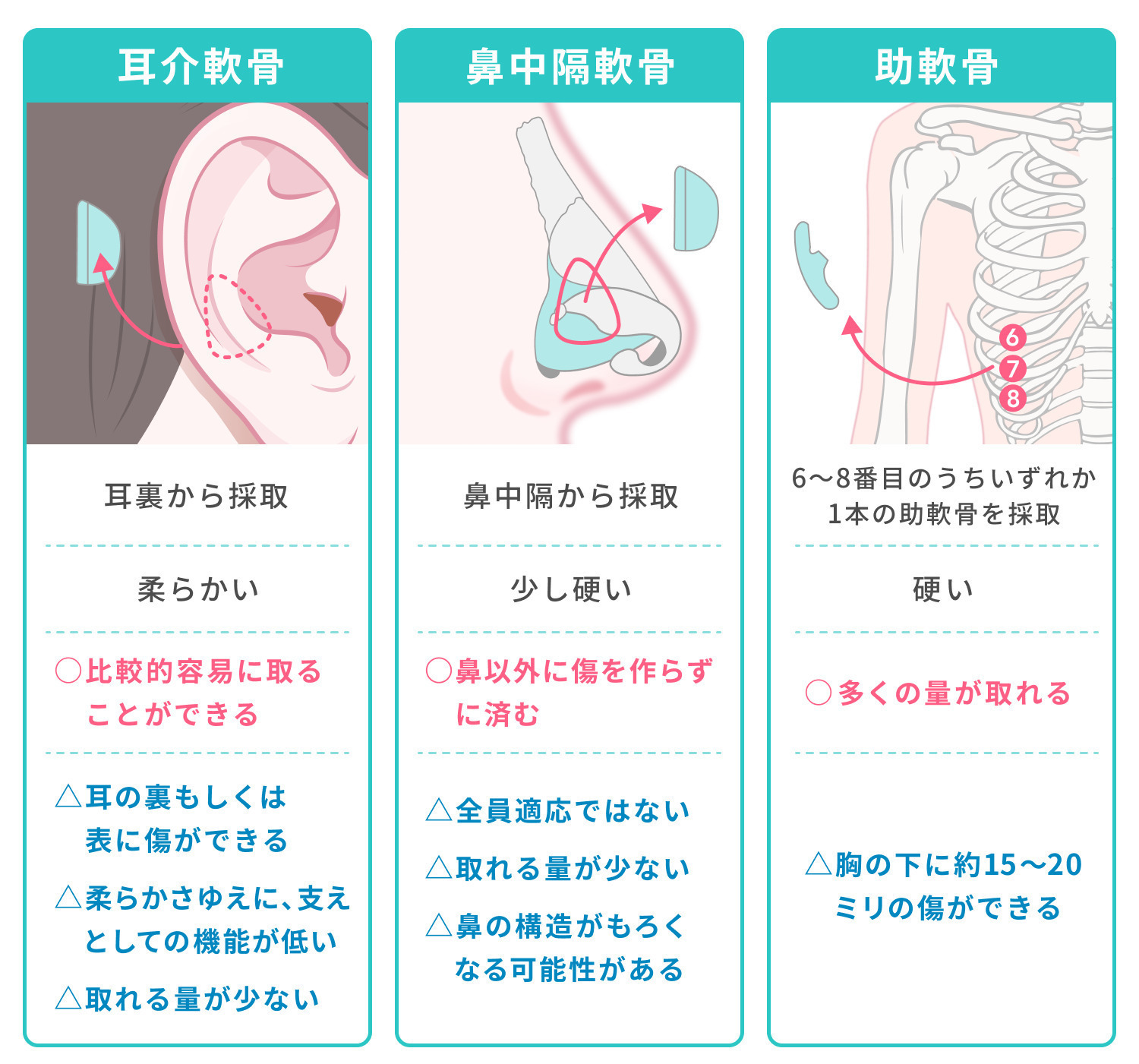 https://p1-1f54eb9e.imageflux.jp/uploads/image/file/7791/3c0a1ade-286e-4866-ab43-ca62ff7125bc.jpg