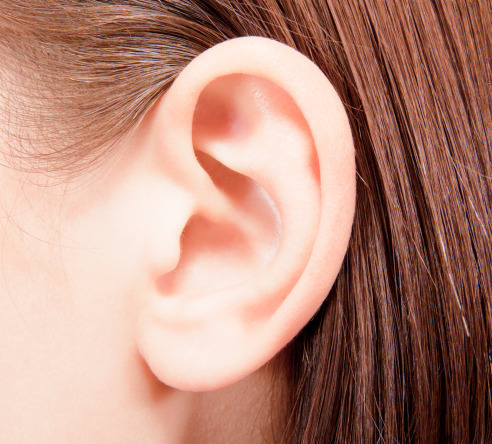 耳