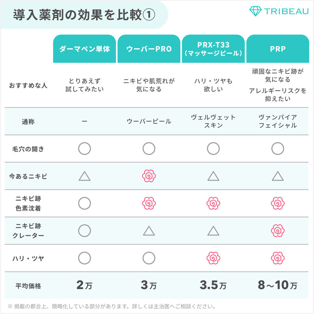ダーマペン 解説画像2 メイン用