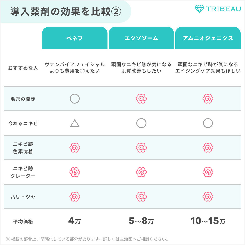 ダーマペン 解説画像3 メイン用