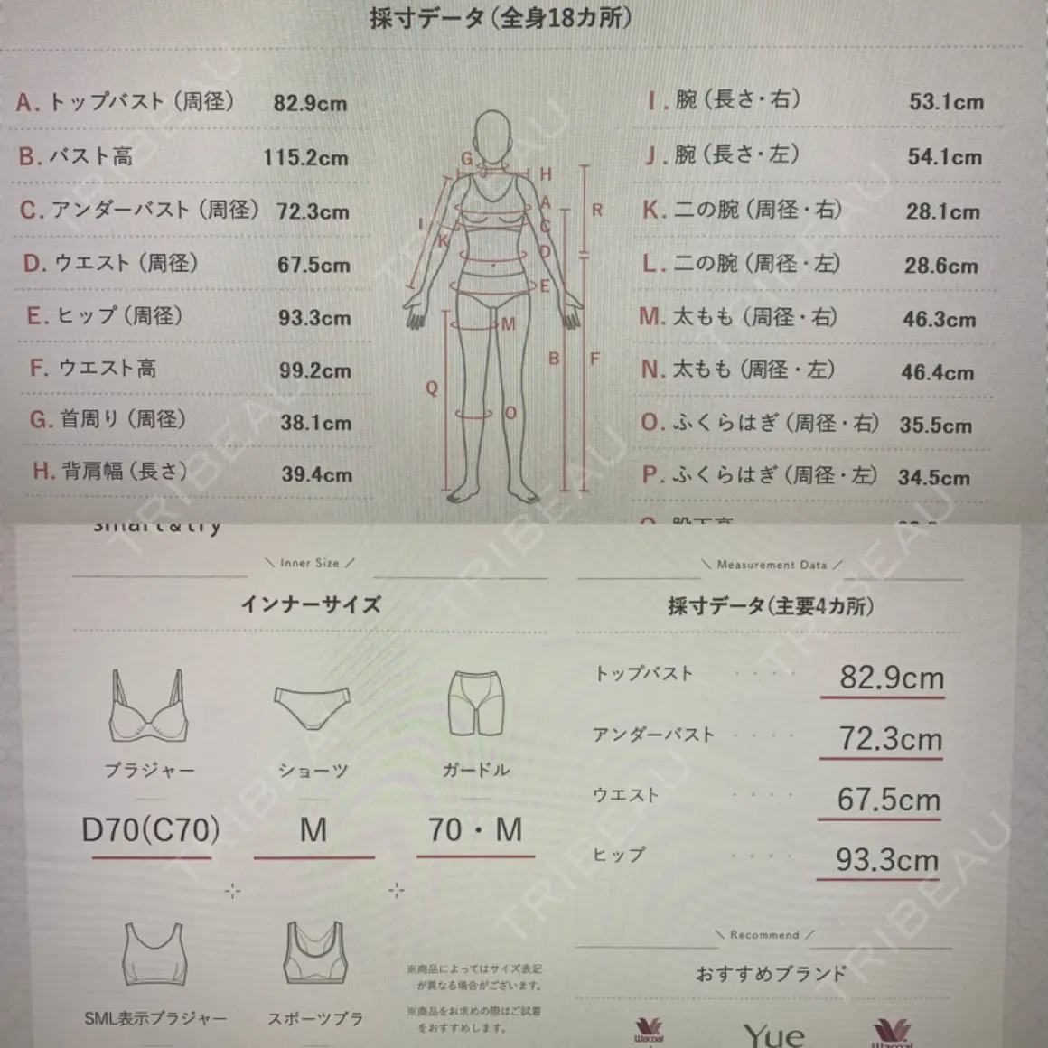 脂肪吸引（脚） / 豊胸（脂肪注入） S.T styleクリニック AFTER