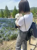 chii_roy8008