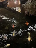 mhkmhk