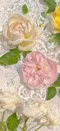 hiddenite_b0c60b