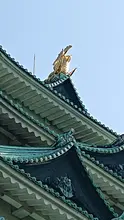 56316557