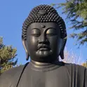 nowshika