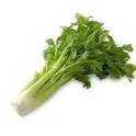 celery_biyo