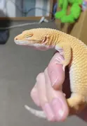 hanahana0404