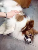 sacha_1010_