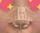 隆鼻術 / 鼻尖縮小 サラ美容外科 DAY 0 サムネイル用