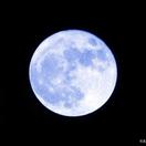 Blue_Moon
