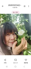 naturalrose