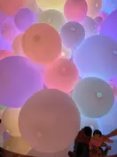 nfdm4knGYNXWjd2