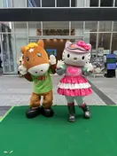 tigereye_249048