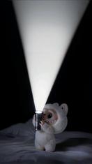 biore