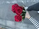 andesine_a93cf0