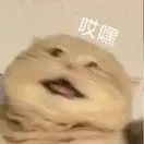 mimipomchan