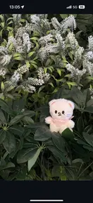 popo0320
