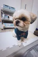 urnk