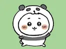 pandachan0_0