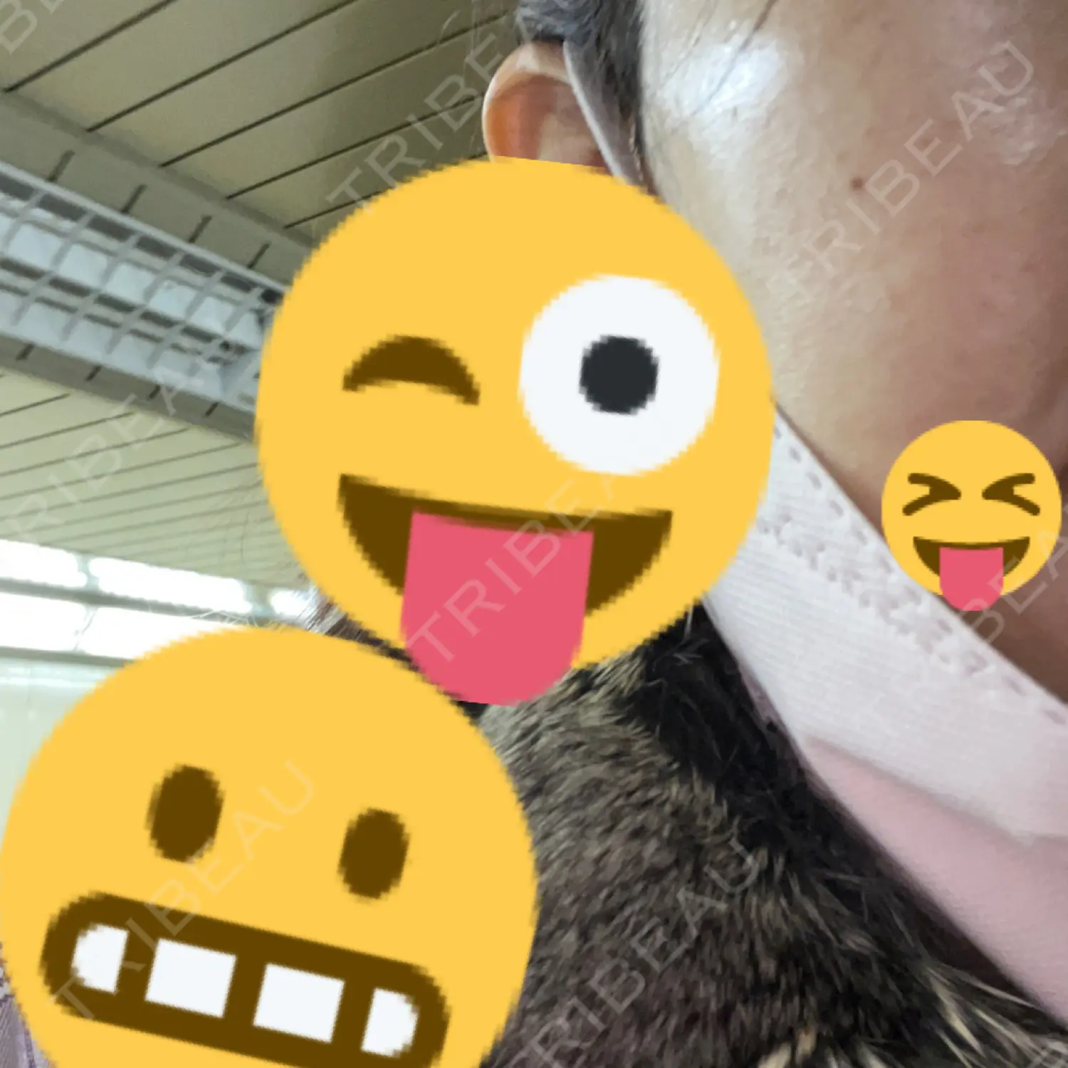 施術前の写真