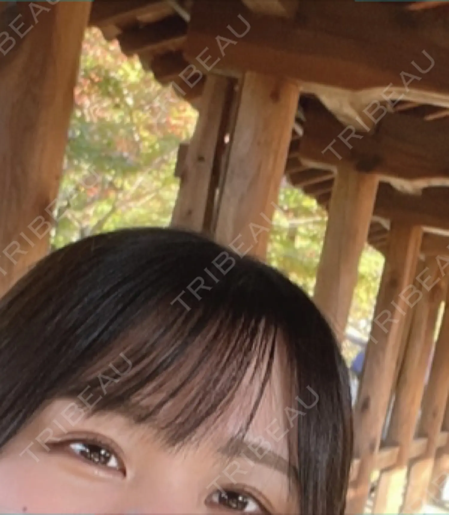 施術前の写真