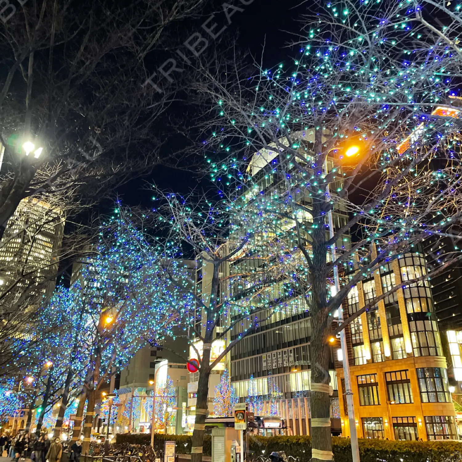 施術前の写真