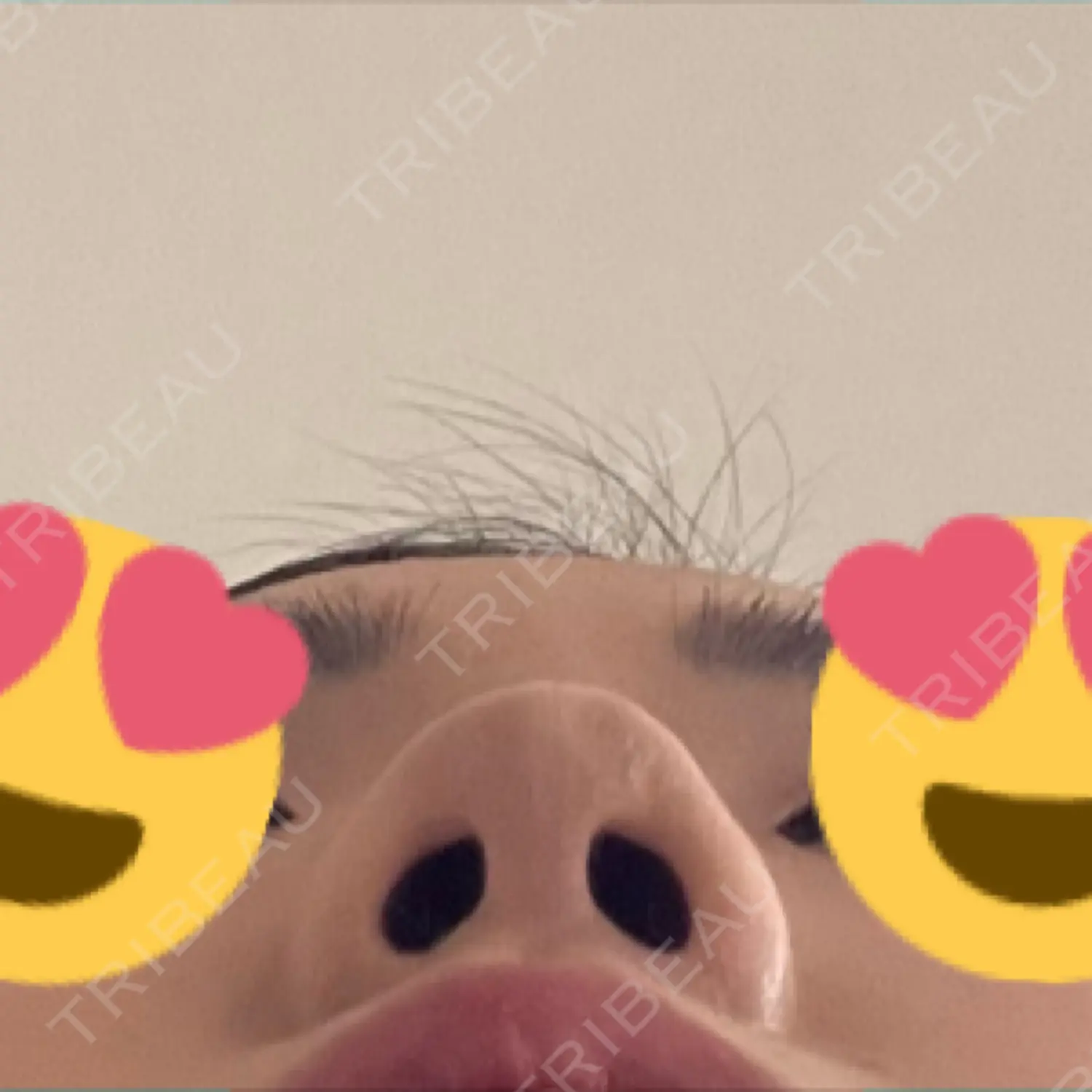 施術前の写真