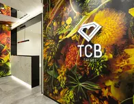 TCB東京中央美容外科 TCB東京中央美容外科 富山院