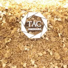 TAクリニック 横浜TAクリニックのトリビュー特別メニュー
