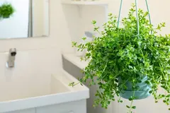 Red Pine 美容クリニックの内観写真