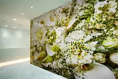 TCB東京中央美容外科 銀座有楽町院の内観写真