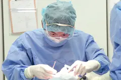 カトレア歯科・美容クリニックの内観写真