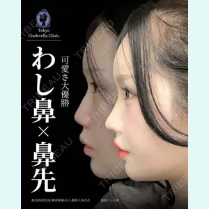 症例