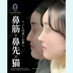 症例