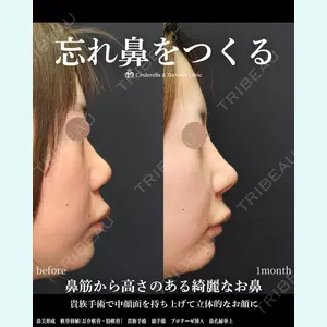 シンデレラ＆ダヴィンチクリニックの症例