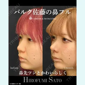 シンデレラ＆ダヴィンチクリニック 佐藤 博文医師の症例