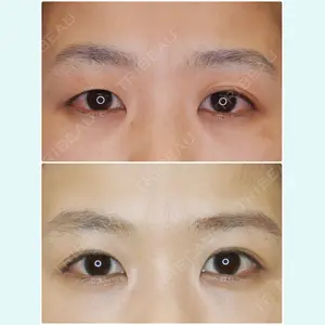 y's clinicの症例